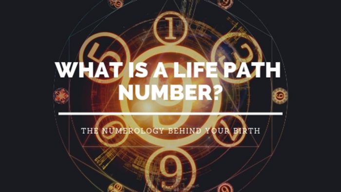 my life path number