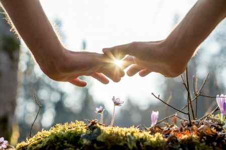 How to Perform Reiki on Plants