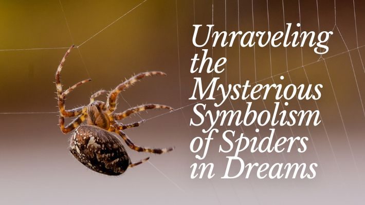 Unraveling the Mysterious Symbolism of Spiders in Dreams